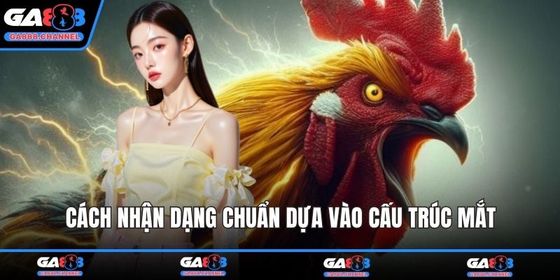 Cách nhận dạng chuẩn dựa vào cấu trúc mắt