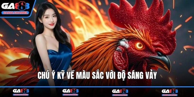 Chú ý kỹ về màu sắc với độ sáng vảy