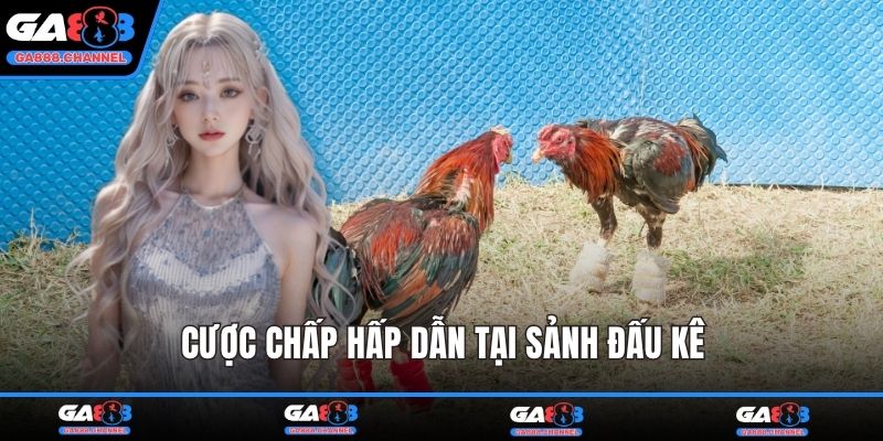 Cược chấp hấp dẫn tại sảnh đấu kê