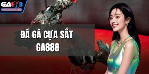 Đá gà cựa sắt GA888