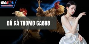 Đá gà Thomo GA888