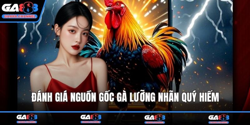 Đánh giá nguồn gốc gà lưỡng nhãn quý hiếm