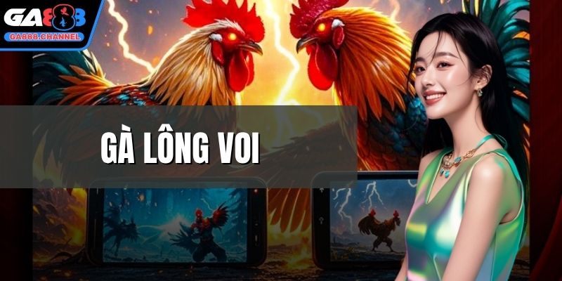 Gà lông voi