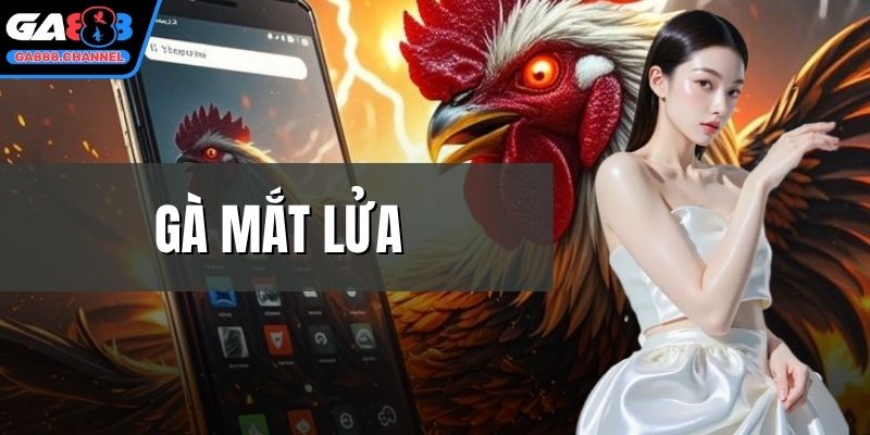 Gà mắt lửa