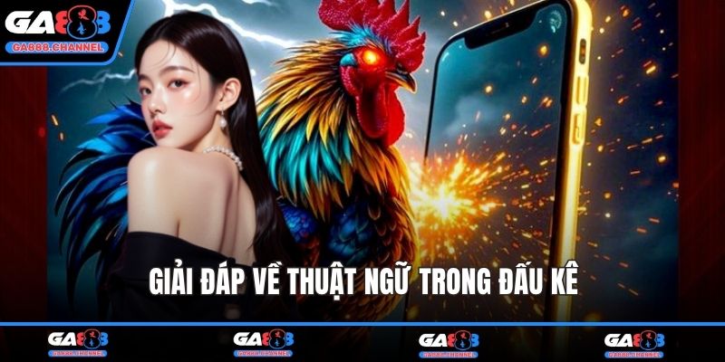 Giải đáp về thuật ngữ trong đấu kê