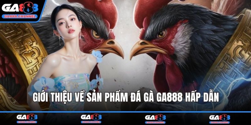 Giới thiệu về sản phẩm đá gà GA888 hấp dẫn