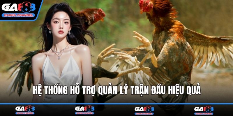Hệ thống hỗ trợ quản lý trận đấu hiệu quả
