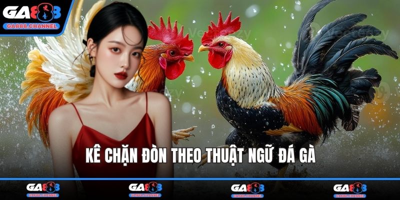 Kê chặn đòn theo thuật ngữ đá gà