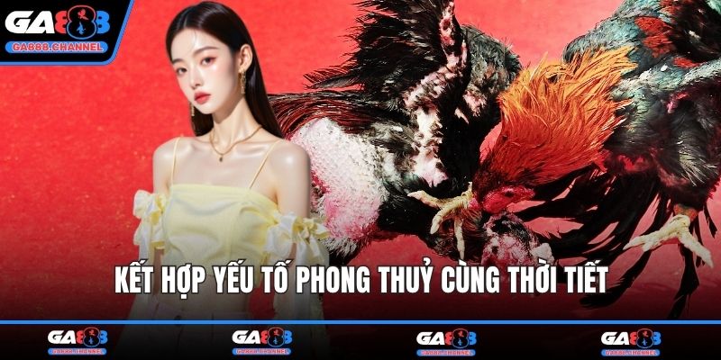 Kết hợp yếu tố phong thuỷ cùng thời tiết