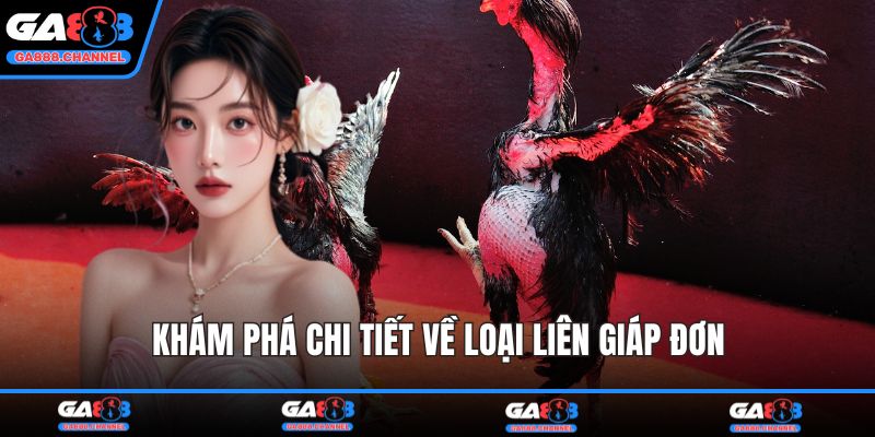 Khám phá chi tiết về loại liên giáp đơn