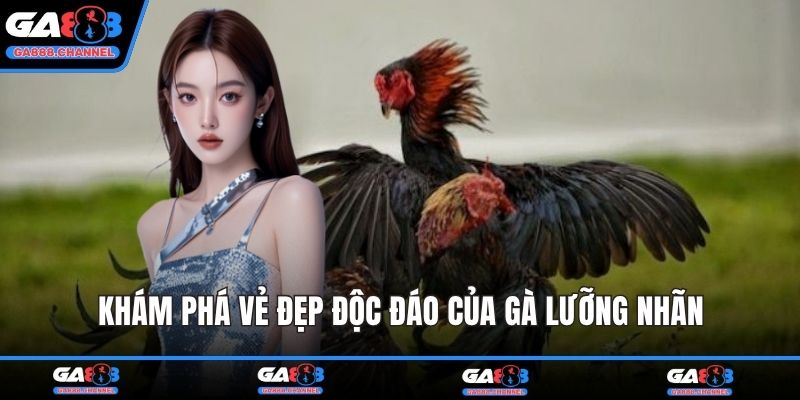 Khám phá vẻ đẹp độc đáo của gà lưỡng nhãn