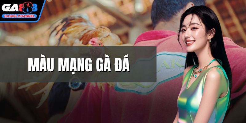Màu mạng gà đá