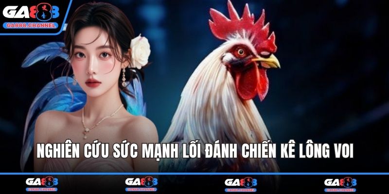 Nghiên cứu sức mạnh lối đánh chiến kê lông voi