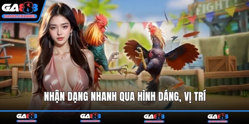 Nhận dạng nhanh qua hình dáng, vị trí
