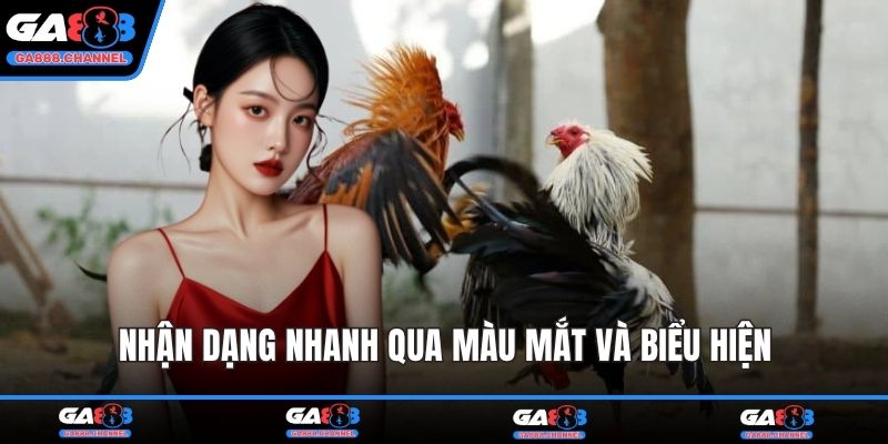 Nhận dạng nhanh qua màu mắt và biểu hiện