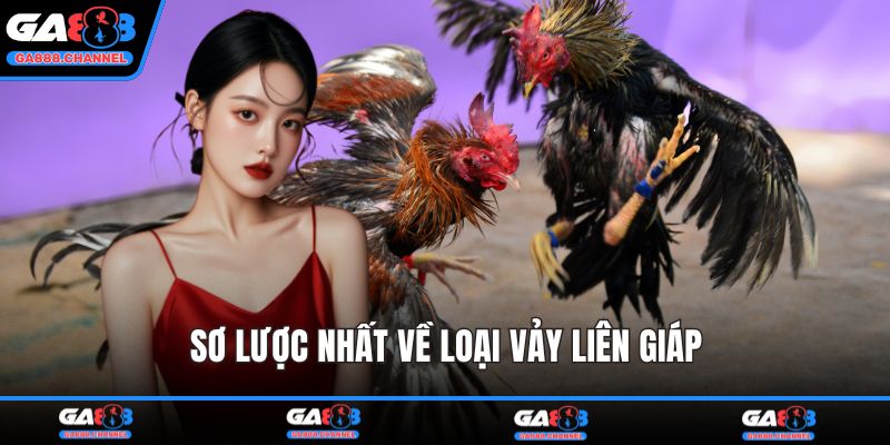 Sơ lược nhất về loại vảy liên giáp