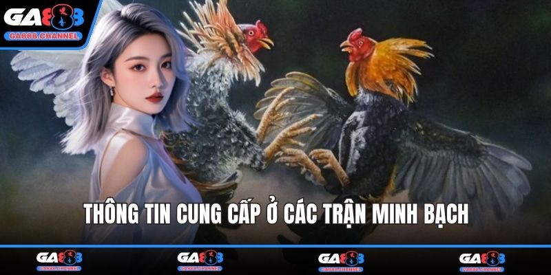 Thông tin cung cấp ở các trận minh bạch