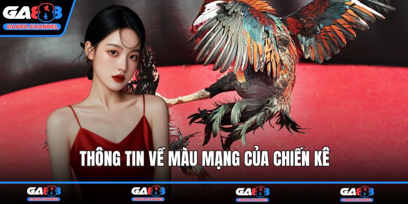 Thông tin về màu mạng của chiến kê