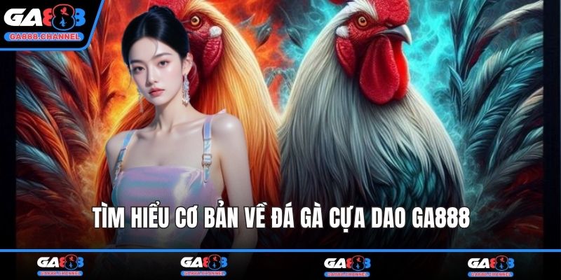 Tìm hiểu cơ bản về đá gà cựa dao GA888