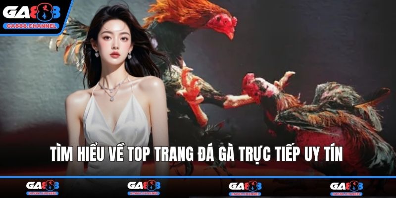 Tìm hiểu về top trang đá gà trực tiếp uy tín