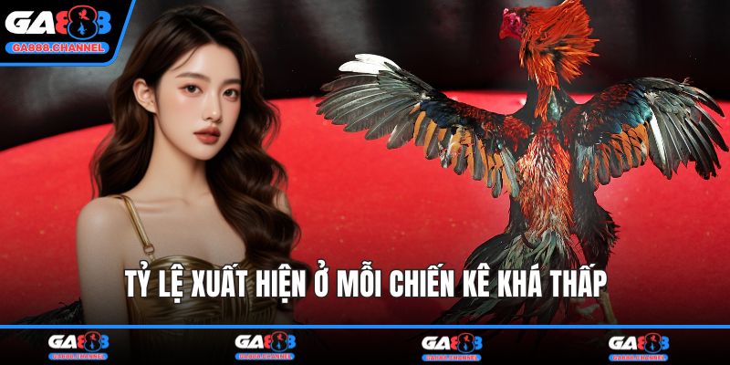 Tỷ lệ xuất hiện ở mỗi chiến kê khá thấp