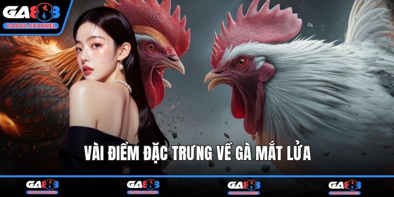Vài điểm đặc trưng về gà mắt lửa